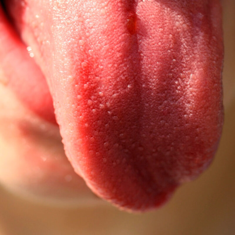 ¿Sabes lo que tu saliva dice de ti? ¿Y lo que hace por ti?
