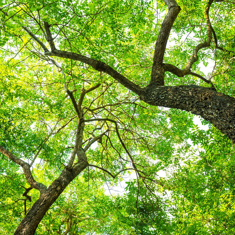 Salud y medio ambiente